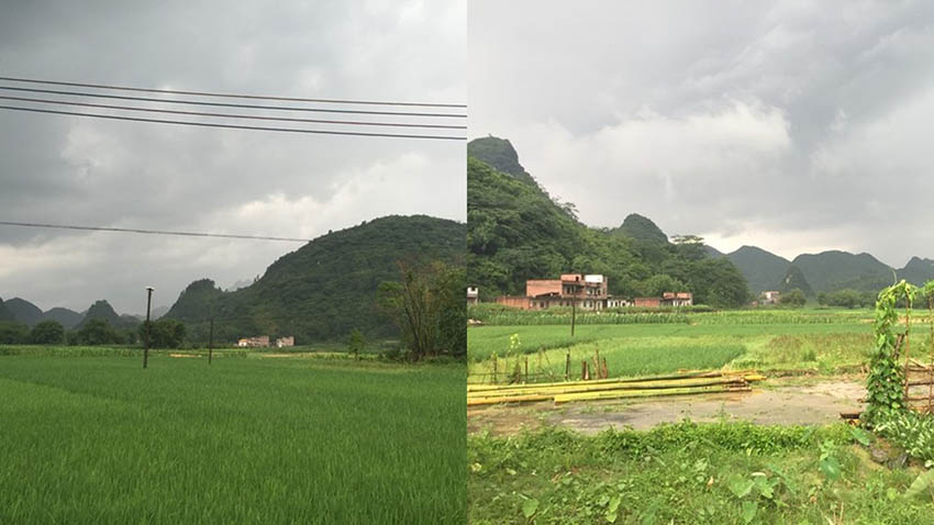 陽山峰林古道